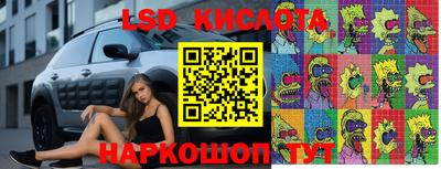 крисы Коммунар