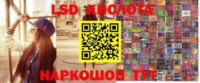 крисы Коммунар