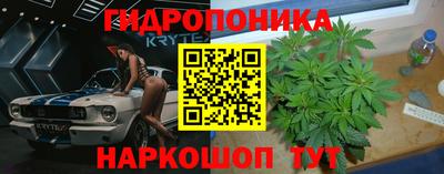ALPHA PVP Комсомольск-на-Амуре
