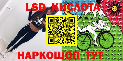крисы Коммунар