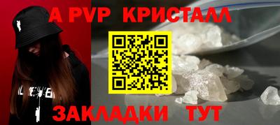 крисы Коммунар
