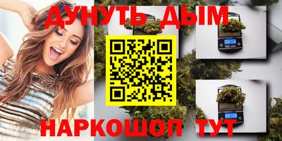 крисы Коммунар