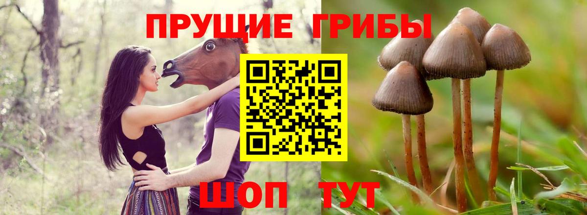 Галлюциногенные грибы Magic Shrooms Каменск-Шахтинский
